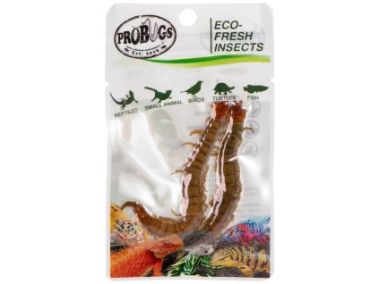 ProBugs Eco Fresh Stonožka (4)