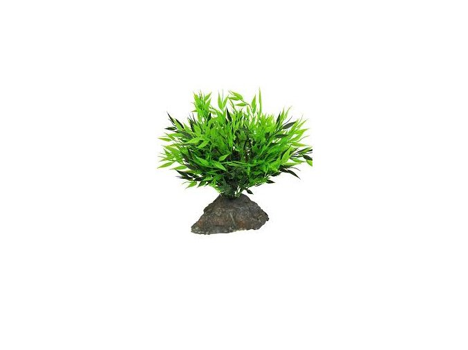 LUCKY REPTILE BAMBOO TUFTS 25 CM