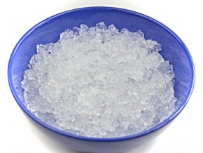 Vodní hmyz v jezírku Vodní hmyz v jezírku