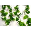 Lucky Reptile Jungle Vine Philo cca 200 cm
