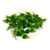 Lucky Reptile Jungle Vine Philo cca 200 cm