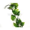 Lucky Reptile Pothos Vine cca 200 cm