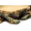 GiganTerra Terarijní miska Bark M 17 cm (6)