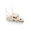 GiganAqua Dračí lebka 12,5 x 9,2 x 8,5 cm (5)