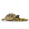 Habistat Tortoise Food Fruit&Flower (5)