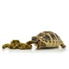 Habistat Tortoise Food Meadow Mix (3)