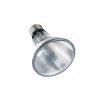 Arcadia Halogen Heat Lamp (4)