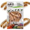 Pro Bugs Eco Fresh Superworms (2)