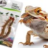 ProBugs Eco Fresh Stonožka (2)
