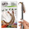 ProBugs Eco Fresh Stonožka (3)