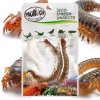 ProBugs Eco Fresh Stonožka (1)