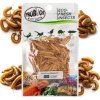 ProBugs Eco Fresh Moučný červ (2)