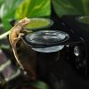 Habistat Arboreal Feeding Ledge Double (8)