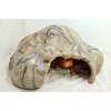 Repto Deco Cave XL ( (1)