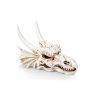 GiganAqua Dračí lebka 12,5 x 9,2 x 8,5 cm (5)