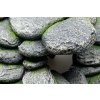 GiganTerra Plošina pro plazy Stone L (7)
