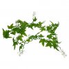 Lucky Reptile Ivy Vine cca 200 cm