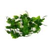 Lucky Reptile Pothos Vine cca 200 cm