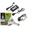SET GIGANTERRA GIGAHID UVB 70W PAR38 s objímkou
