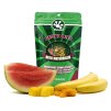 Pangea Gecko Diet Watermelon (2)