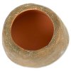 Repti Planet Miska pro hady 9,5 cm(4)
