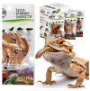 Pro Bugs Eco Fresh Superworms (3)