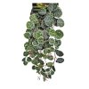 Repto Plant Hanging Round Leaves 46 cm