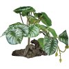 8715897351112 REPTO PLANT ON DECO BEGONIA 900 (1)