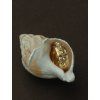 Maniglia Ring
