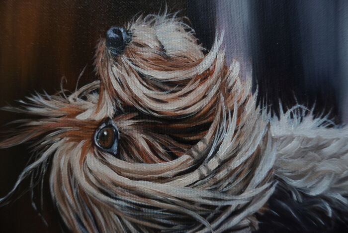 Detail olejomalby jorkšíra