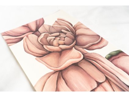 Pink Peonies, tisk