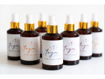 ChatGPT Image 28. 1. 2026 11 30 22