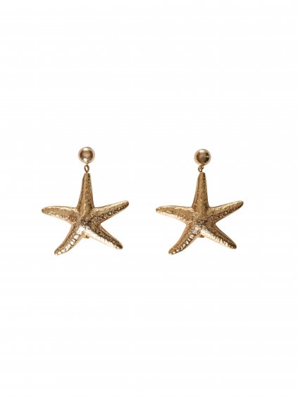 EARRINGS GOLD STAR