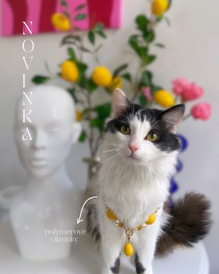 🍋 Citronkyy! 🍋 Tenhle 4v1 náhrdelník křičí 🗣️ jaro-léto a my už se ho nemůžeme dočkat! 💛🍋🌞✨ Ručně jsem ukuchtila tyhle...