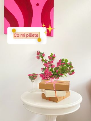 Tyhle krásné zprávy a hodnoceni mi od vás přišly v posledních týdnech 💖😍😘🌸 #dekuju