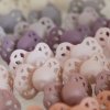 BIBS Infinity symetrické dudlíky ze silikonu 2ks - Blush + Woodchuck