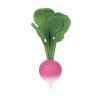 RADISH UNIT 1