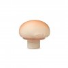 Manolo the mushroom