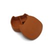 Lunchbox pippa caramel3