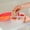 mini lunchbox 2