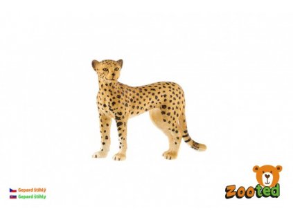 Gepard štíhlý zooted