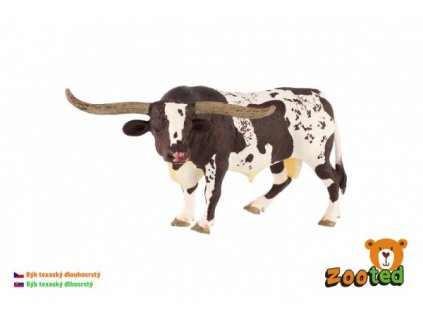 Býk dlouhorohý texaský skot zooted