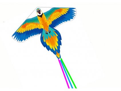 Mega velký drak - barevný pták s dlouhým ocasem