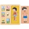 Puzzle deskové dřevěné lidské tělo/sport ve fólii 30x30cm 12m+