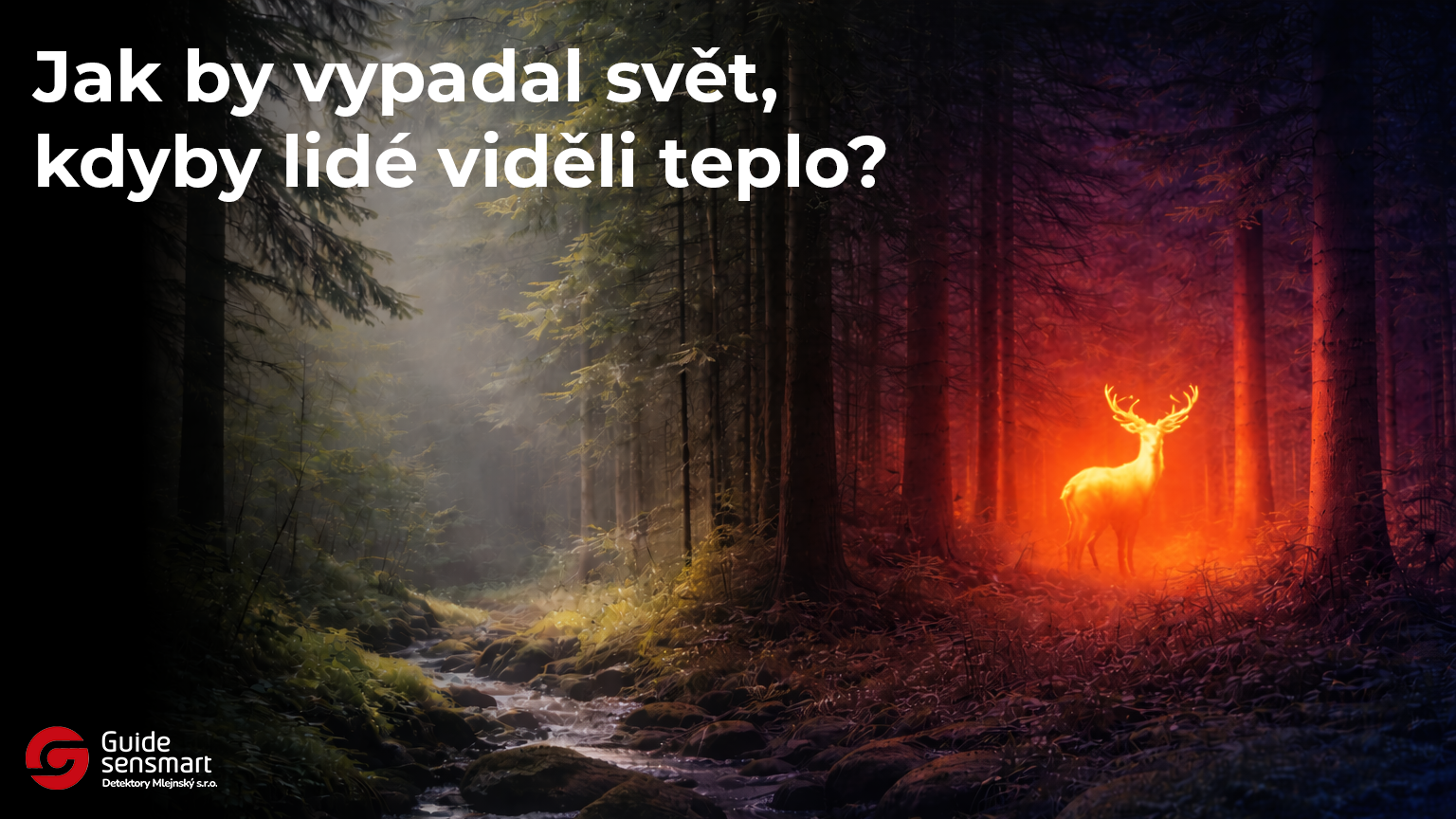 Jak by vypadal svět, kdyby lidé viděli teplo?
