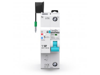 1P circuit breaker (1)