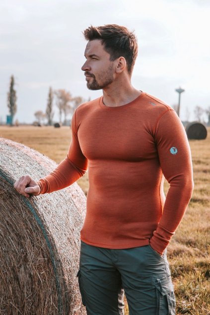 Pánske tričko WOOL DLR M tehlová