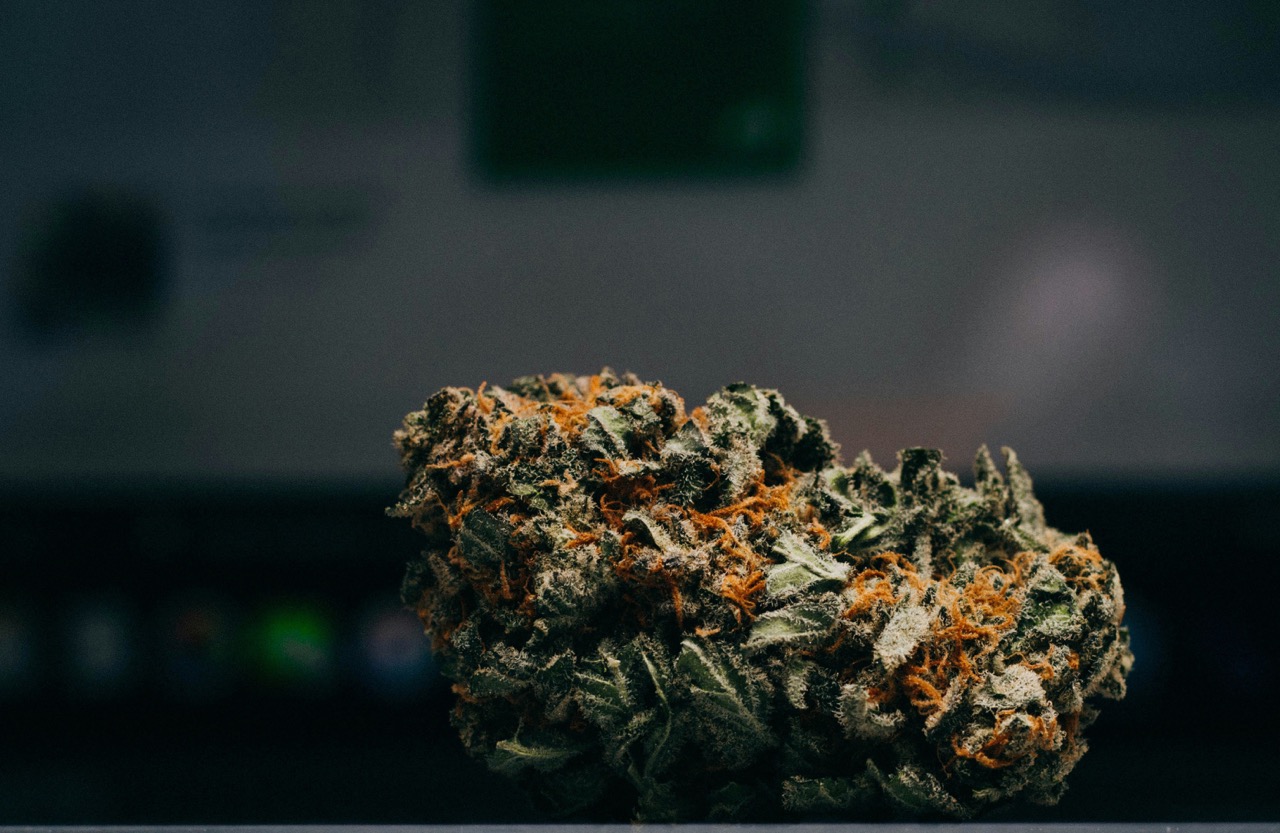 Pro tvé podnikání i zážitek