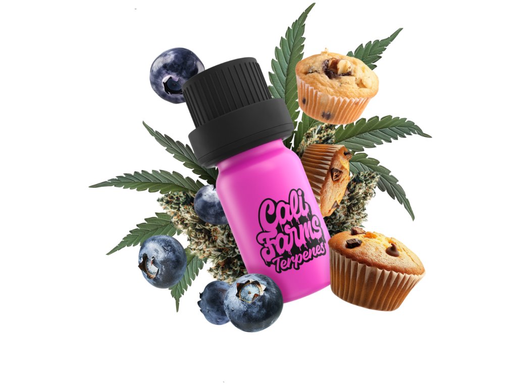 BLUEBERRY MUFFIN