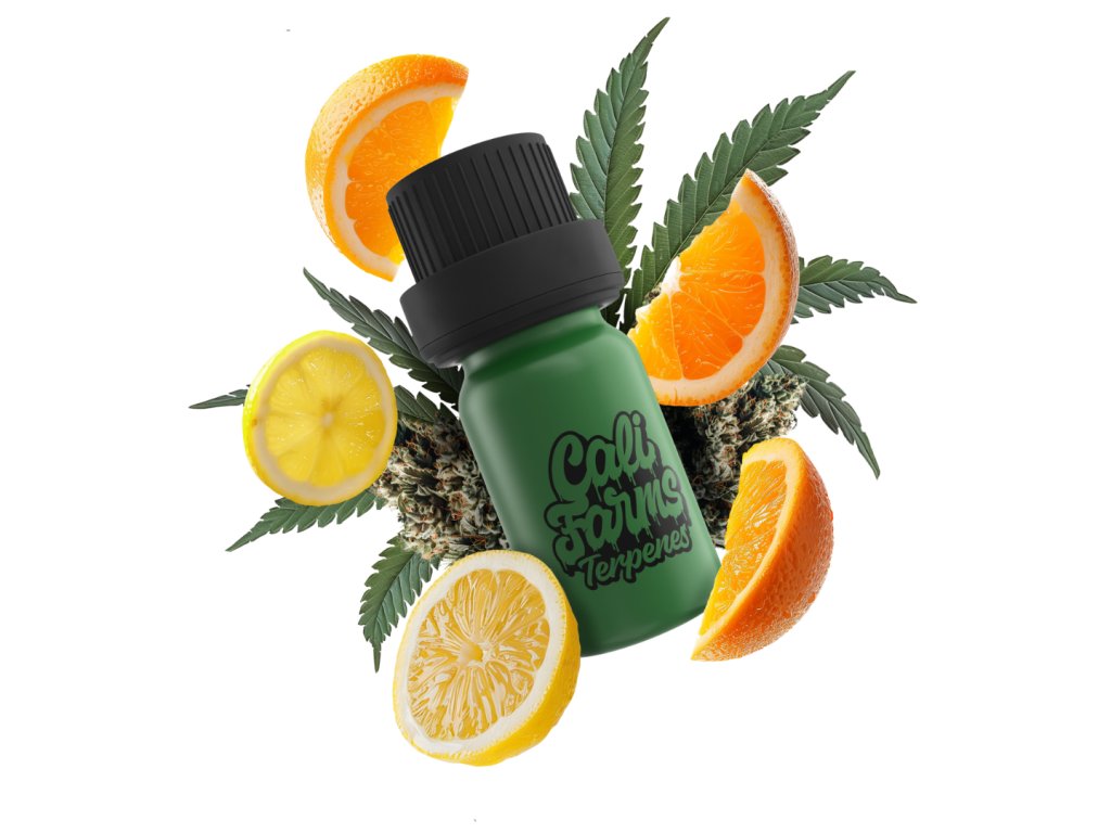LR MIMOSA